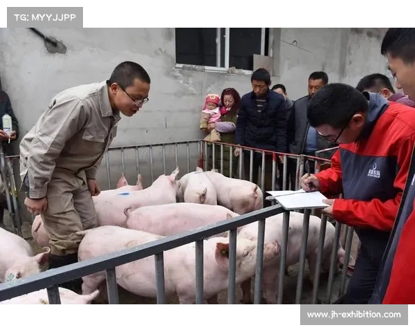 猪事无双：养猪致富记
